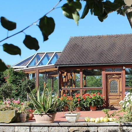 Appartement Landhaus Schmitt à Sommerach Extérieur photo