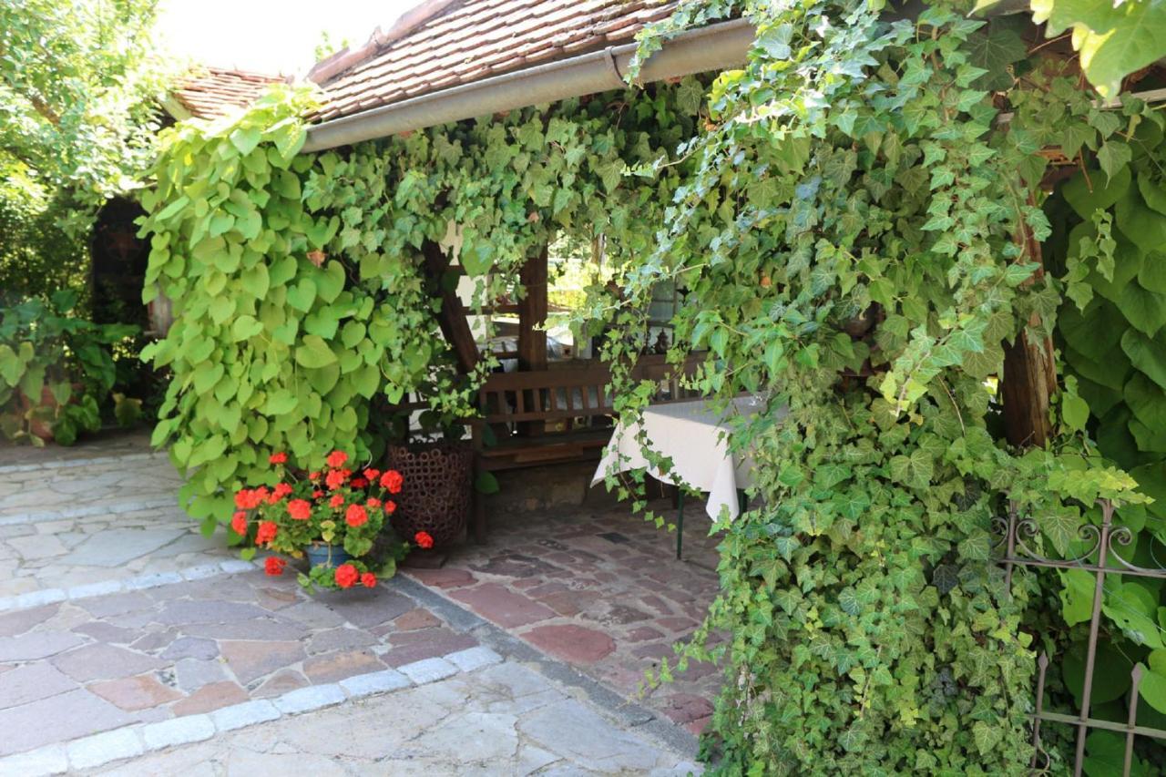 Appartement Landhaus Schmitt à Sommerach Extérieur photo